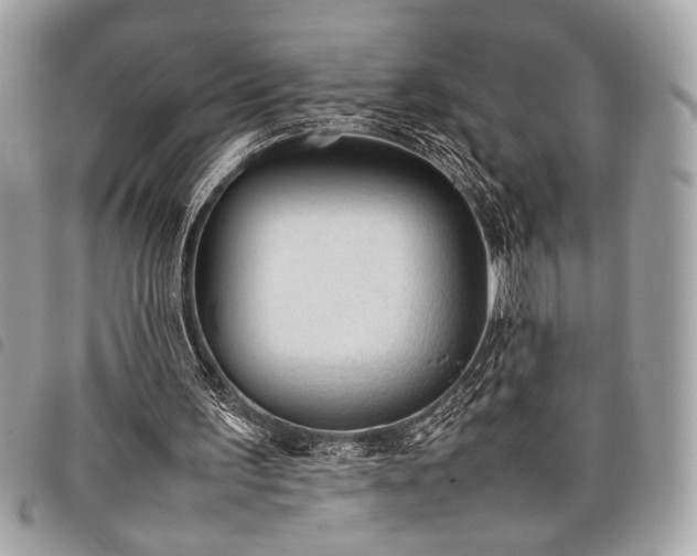 X0000098020195200804071401