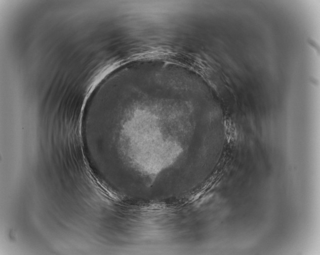 X0000098020196200804071401