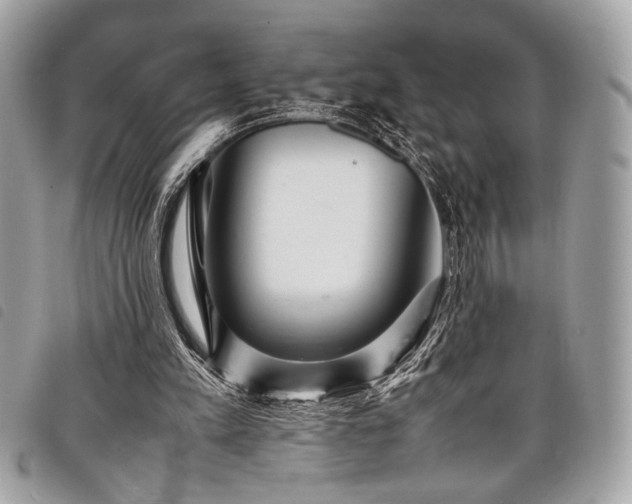 X0000098020197200804071401