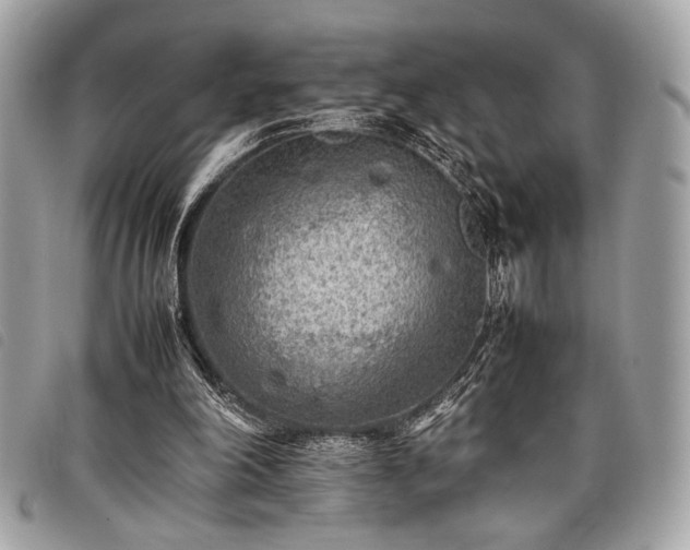 X0000098020198200804071401