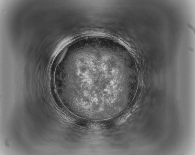 X0000098020199200804071401