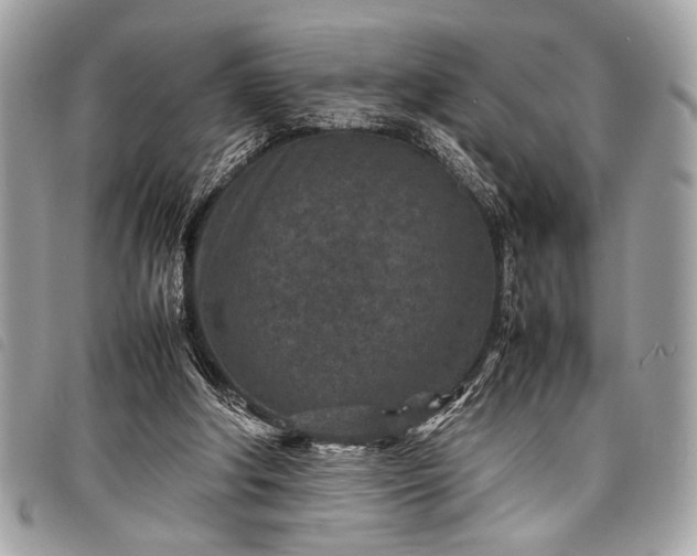 X0000098020202200804071401