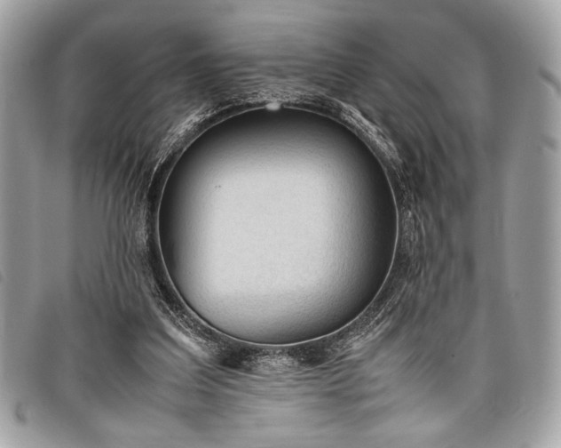 X0000098020203200804071401