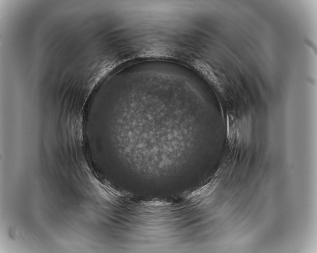 X0000098020204200804071401