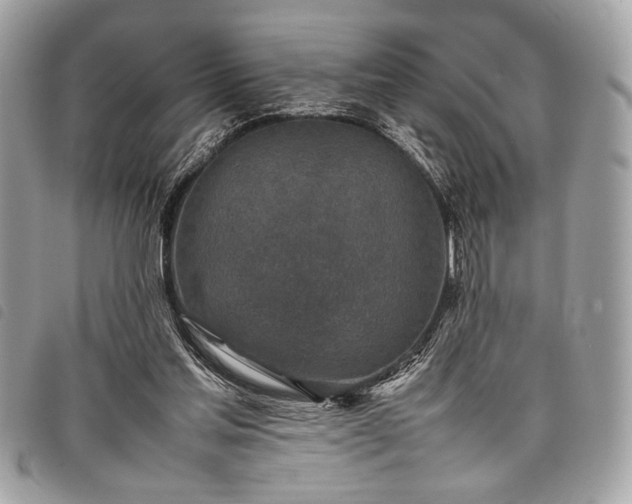 X0000098020205200804071401