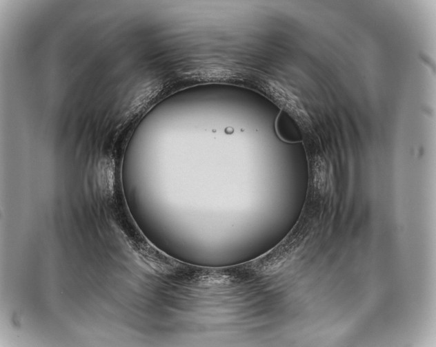 X0000098020206200804071401