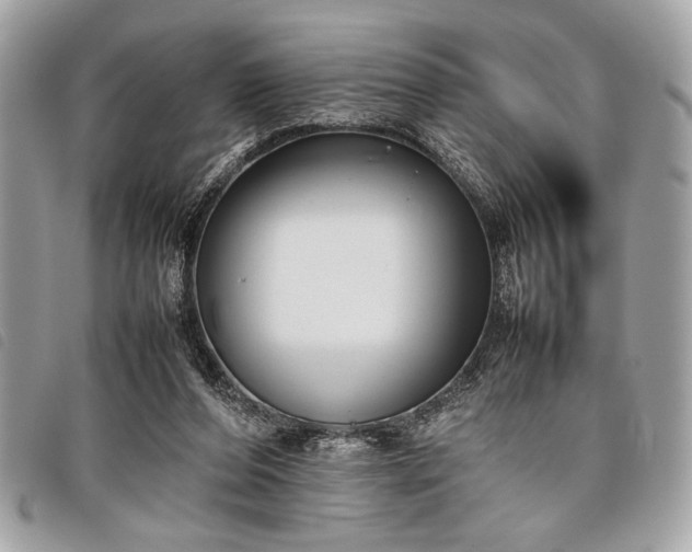 X0000098020208200804071401