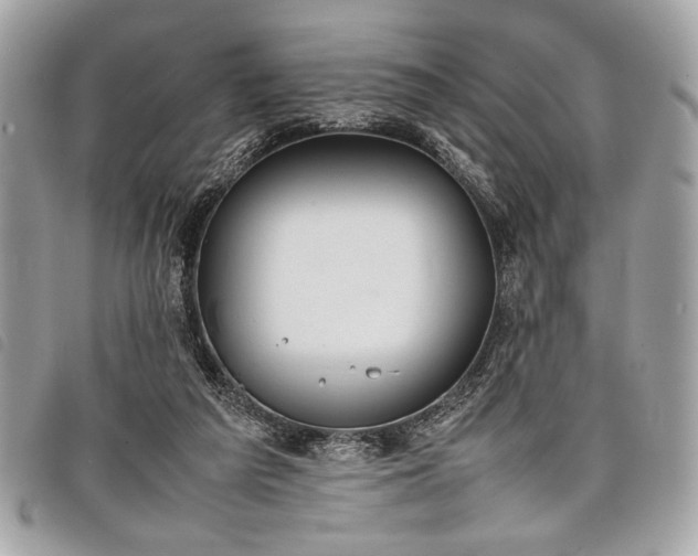 X0000098020209200804071401