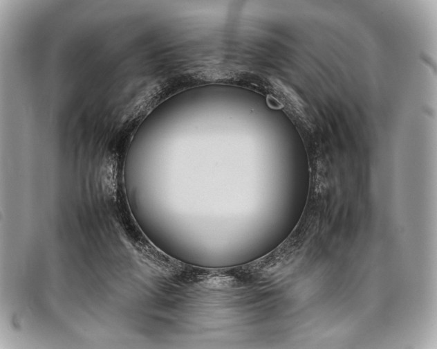 X0000098020210200804071401