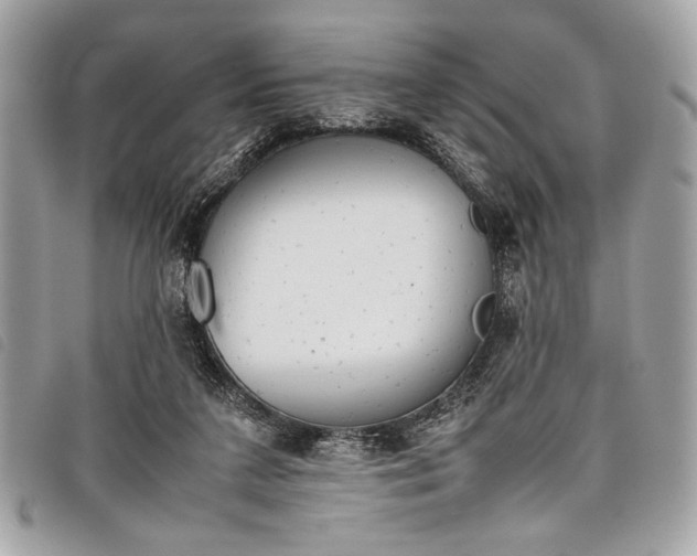 X0000098020211200804071401