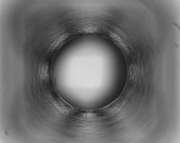 X0000098020212200804071401