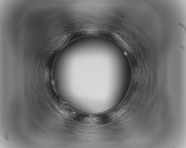 X0000098020213200804071401