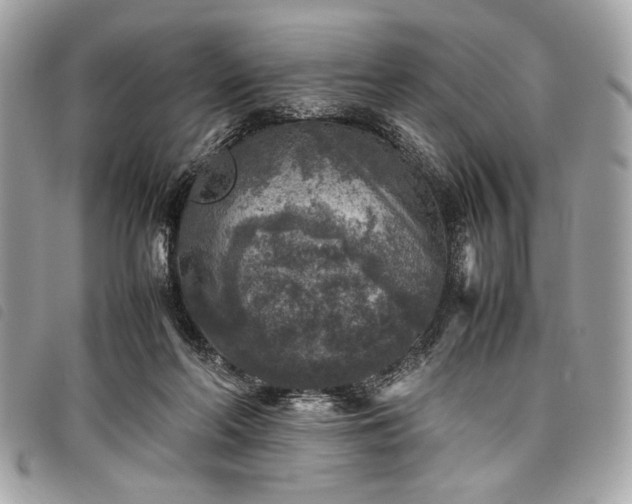 X0000098020214200804071401