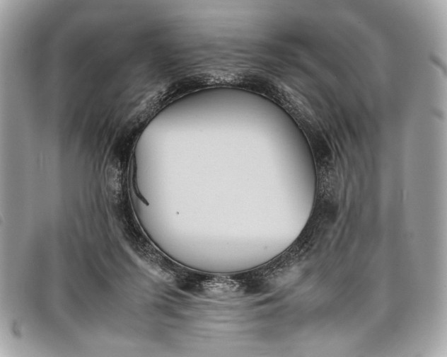 X0000098020215200804071401