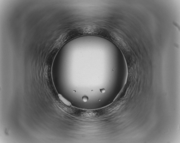 X0000098020217200804071401