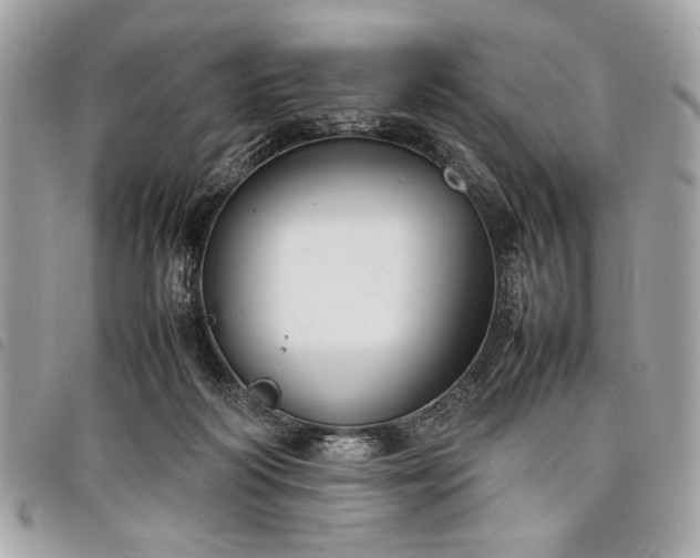 X0000098020218200804071401