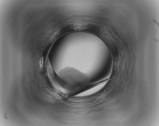 X0000098020219200804071401