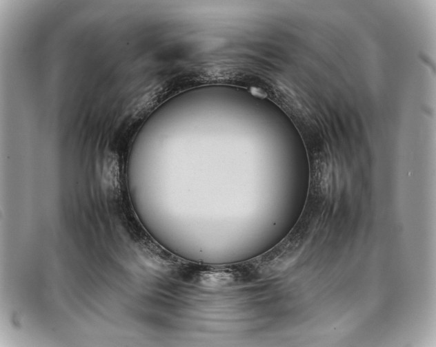 X0000098020220200804071401