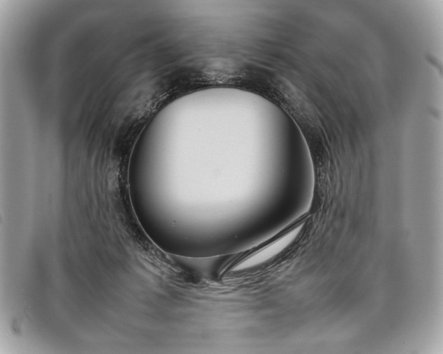 X0000098020221200804071401