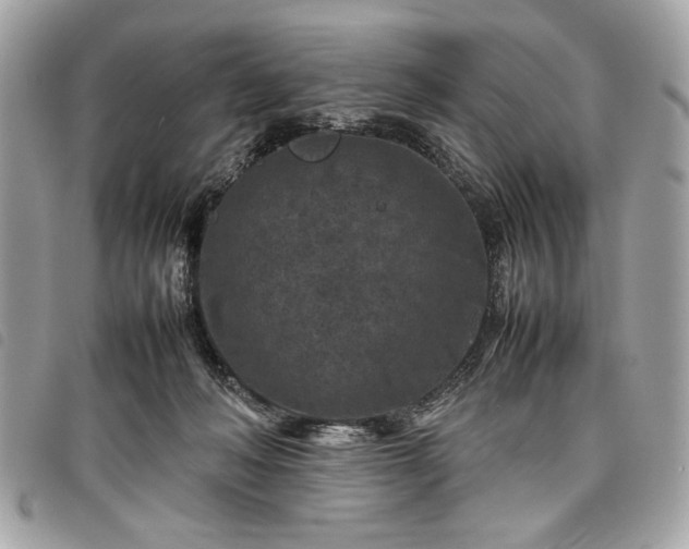 X0000098020222200804071401