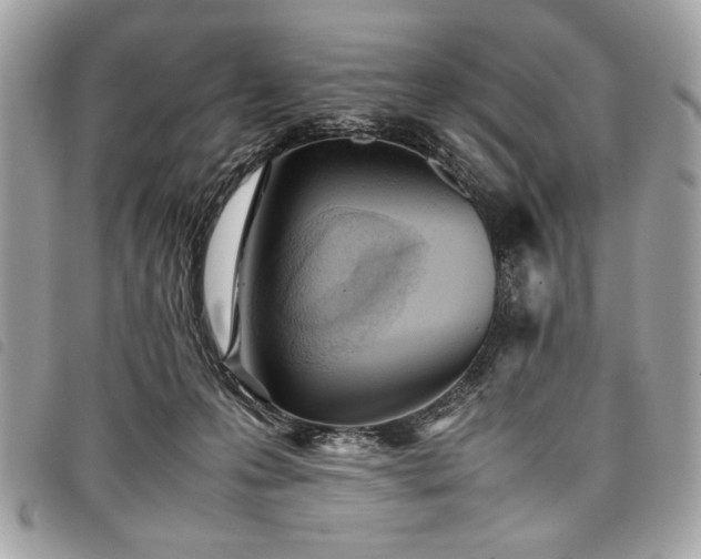 X0000098020223200804071401