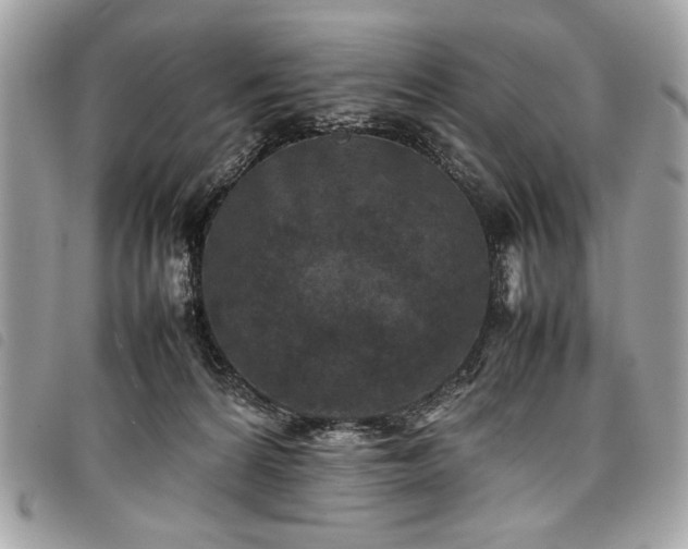 X0000098020224200804071401