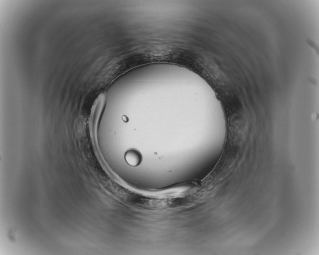 X0000098020225200804071401