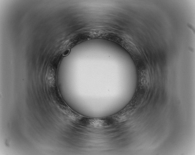 X0000098020226200804071401