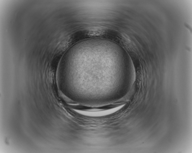 X0000098020227200804071401