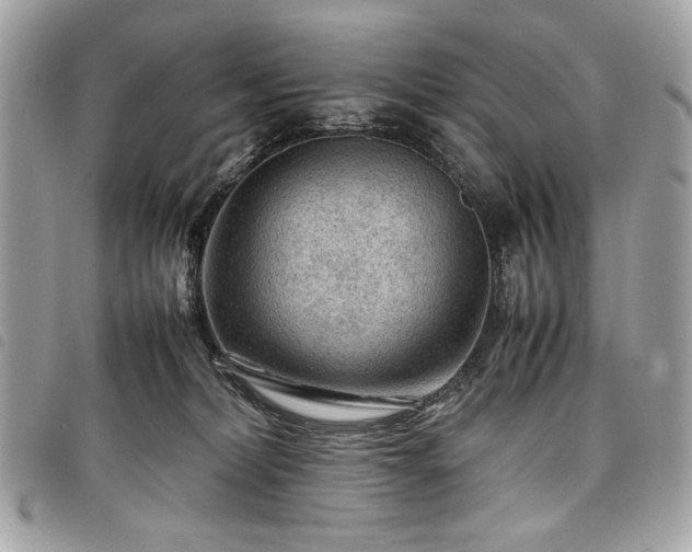 X0000098020228200804071401