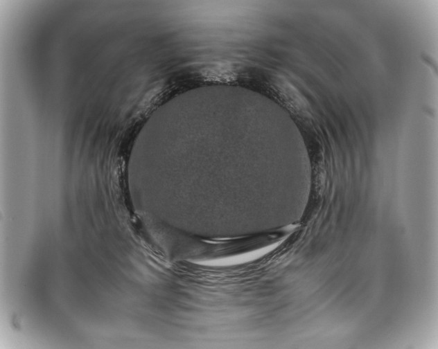 X0000098020229200804071401