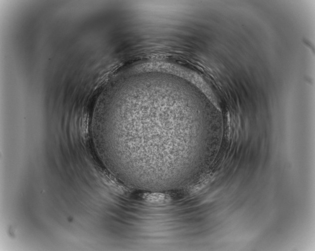 X0000098020230200804071401