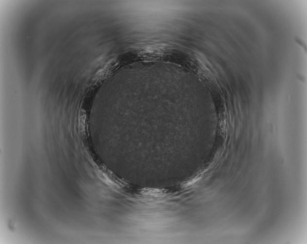 X0000098020231200804071401