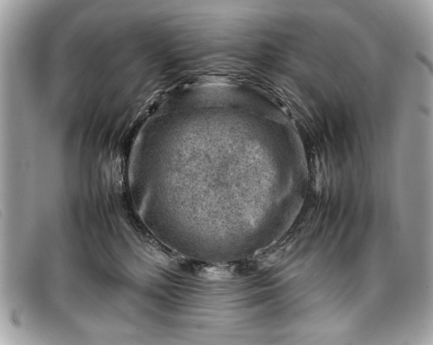 X0000098020232200804071401