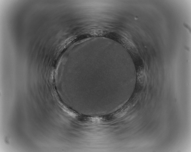 X0000098020233200804071401