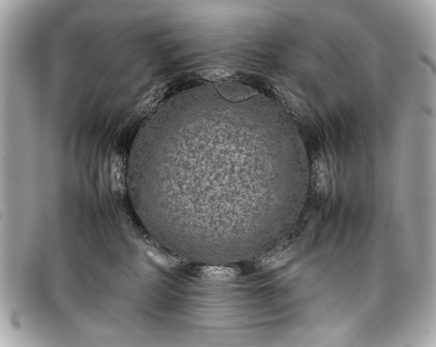 X0000098020234200804071401