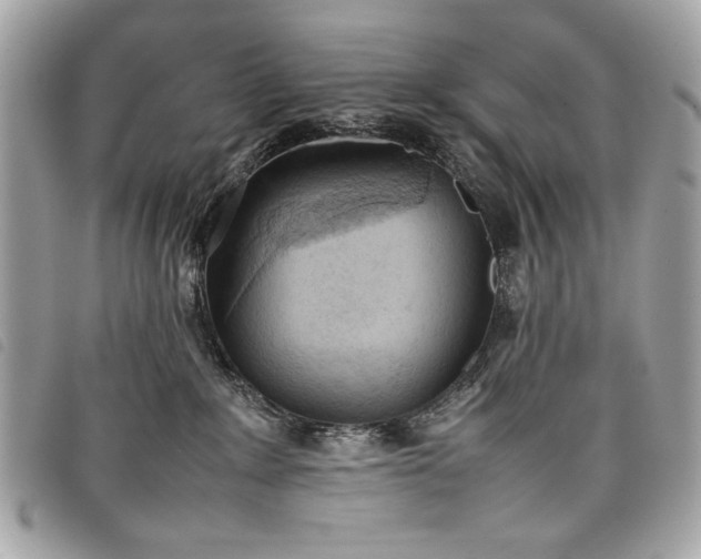 X0000098020235200804071401