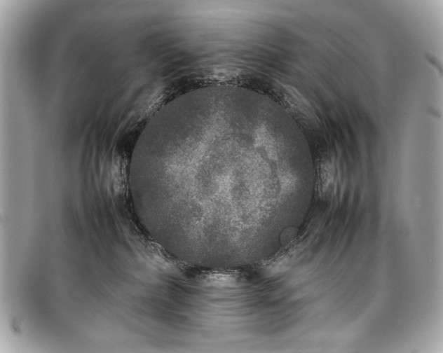 X0000098020236200804071401