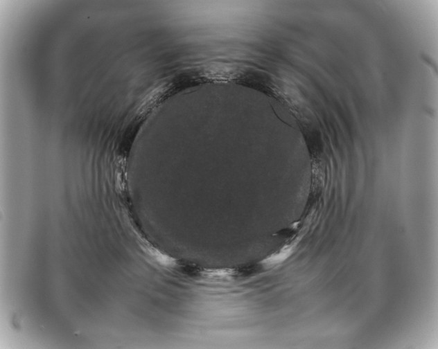 X0000098020237200804071401