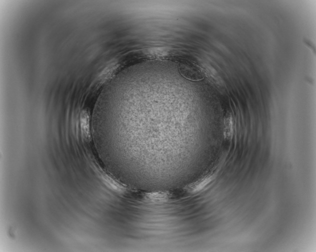 X0000098020238200804071401