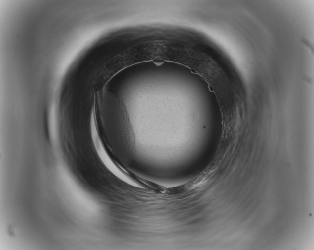 X0000098020239200804071401