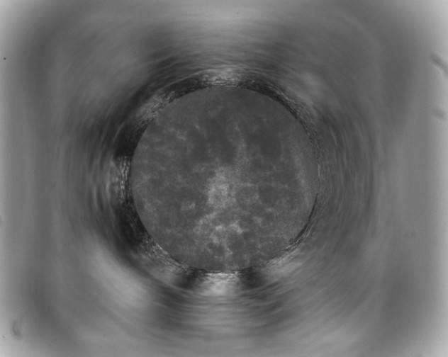 X0000098020240200804071401