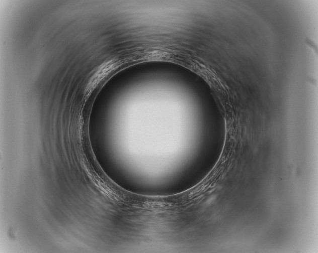 X0000098020242200804071400