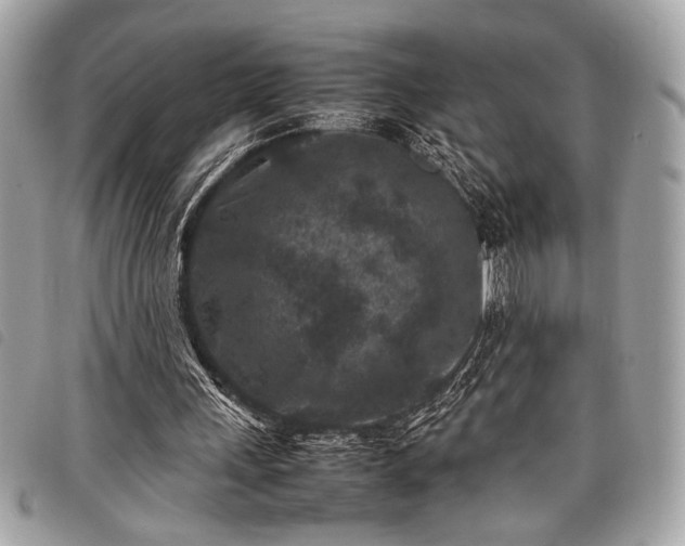 X0000098020243200804071400