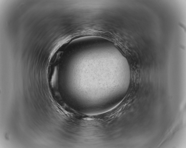 X0000098020244200804071400