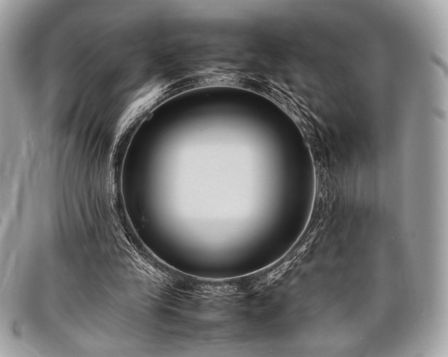 X0000098020245200804071400