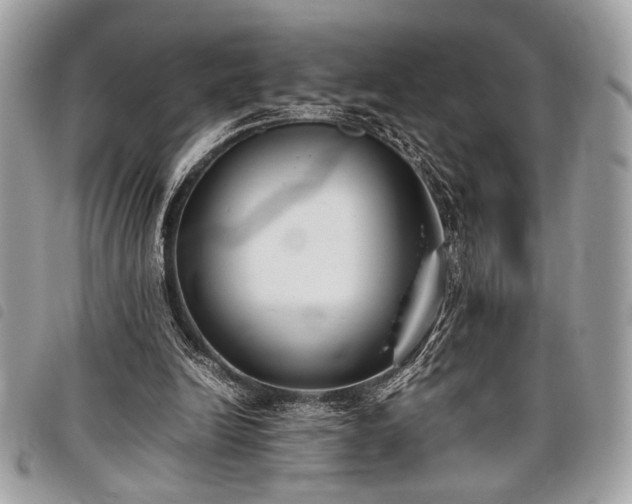 X0000098020246200804071400