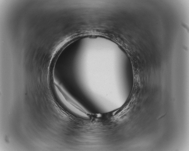 X0000098020248200804071400