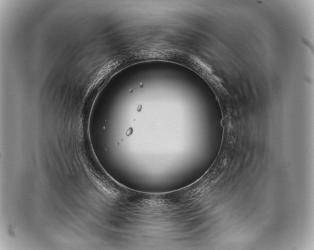 X0000098020250200804071400