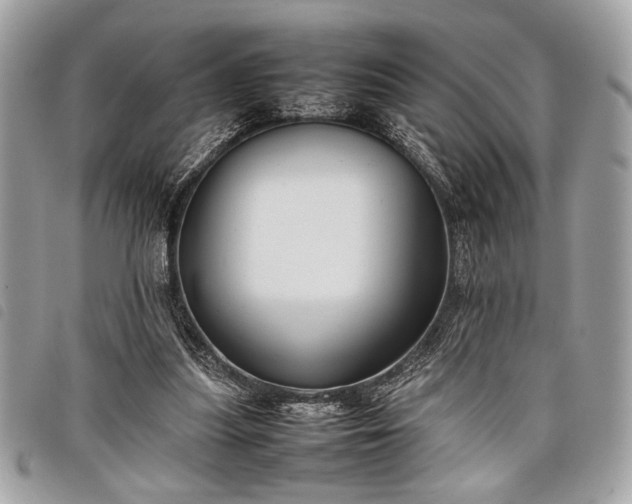 X0000098020251200804071400